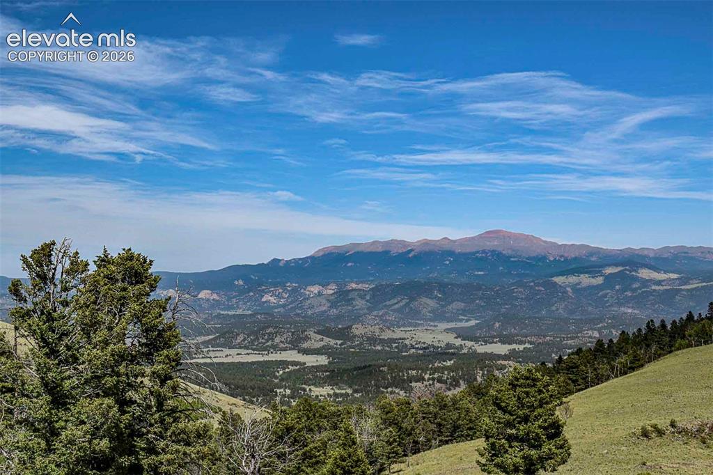 0 Bear Cat Road Guffey, CO 80820 - Photo 8 of 40