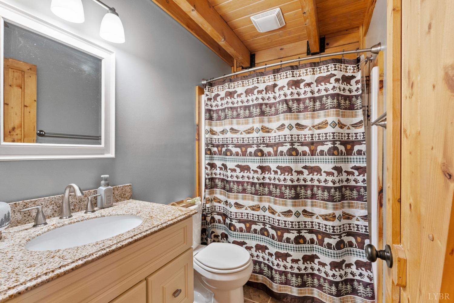1069 Vineyard Road Spout Spring, VA 24538 - Photo 21 of 60 a bathroom with a granite countertop sink and a toilet