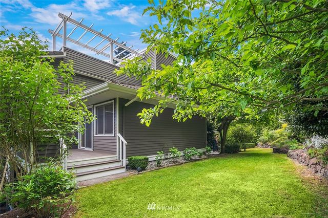 a view of a yard with plants and large trees
