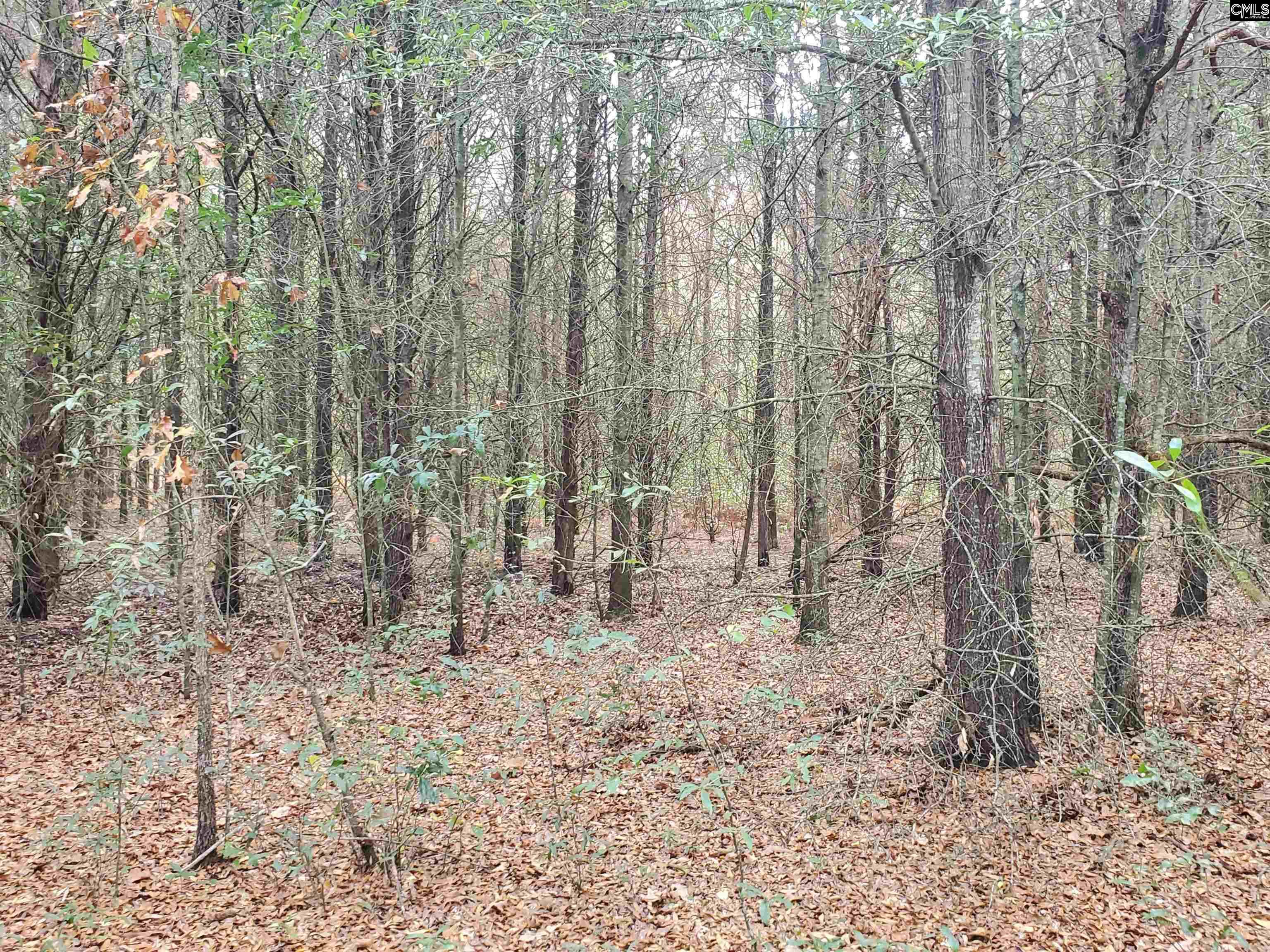 1152 Water Tank Road Pelion, SC 29123 - Photo 46 of 46