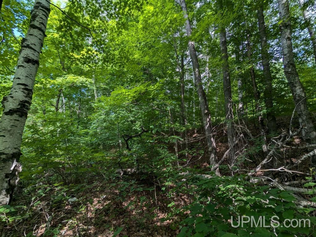 5-acres Mastodon Road Alpha, MI 49902 - Photo 6 of 12