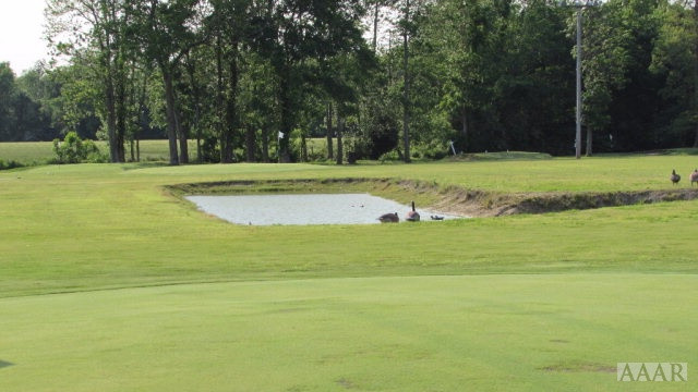 733 Dry Ridge Road Elizabeth City, NC 27909 - Photo 24 of 26 Gallery Image 24