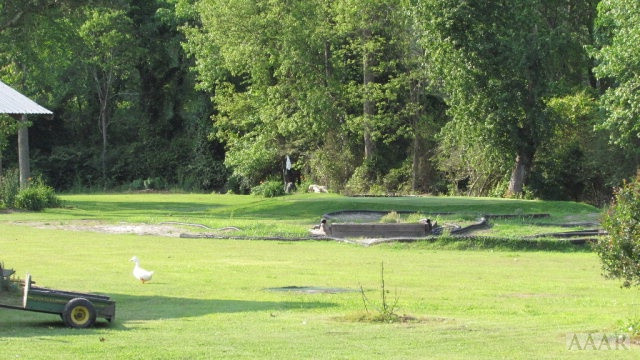 733 Dry Ridge Road Elizabeth City, NC 27909 - Photo 25 of 26 Gallery Image 25