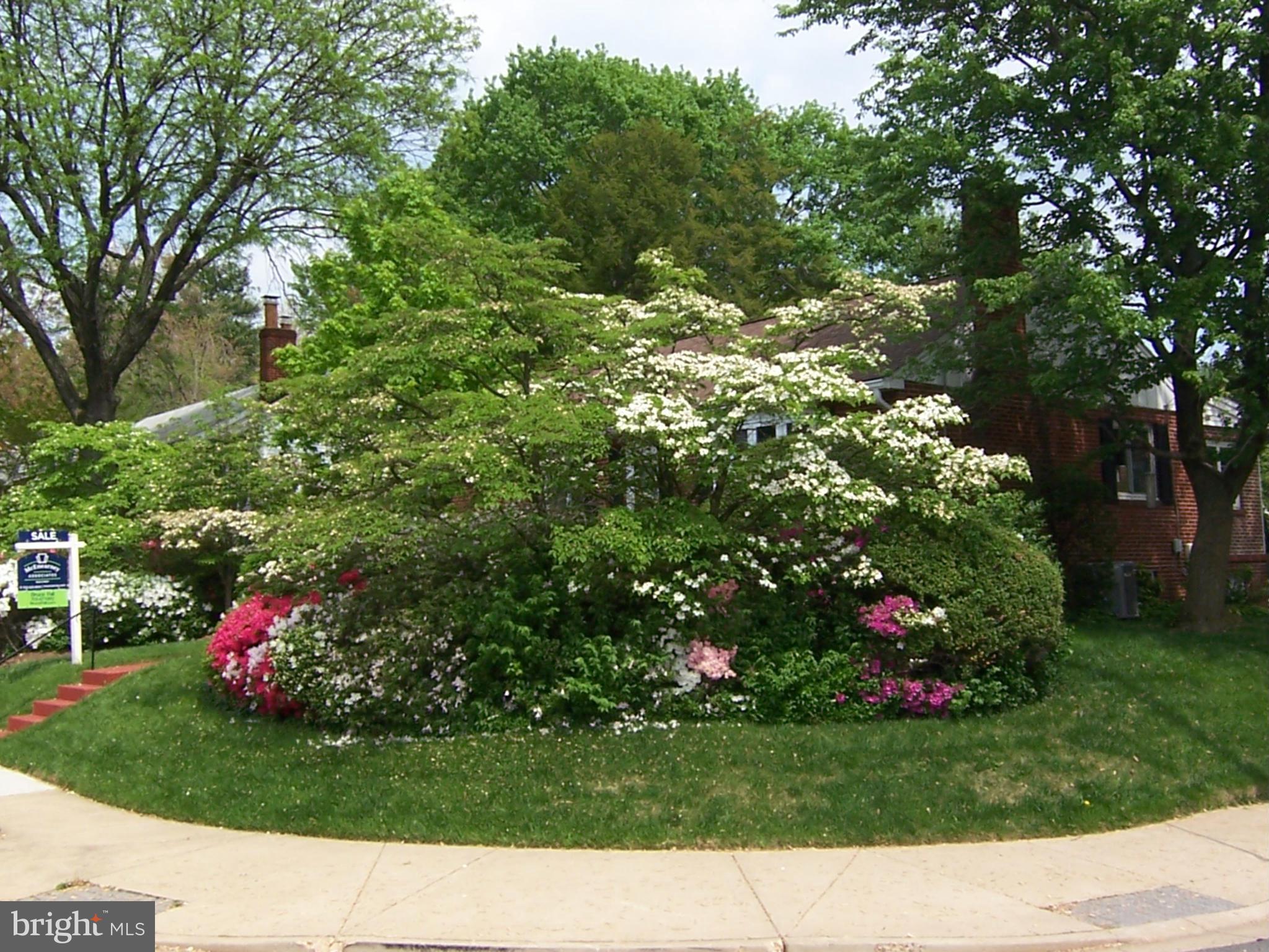 6548 Little Falls Road Arlington, VA 22213 - Photo 2 of 27 Exterior (Front)
