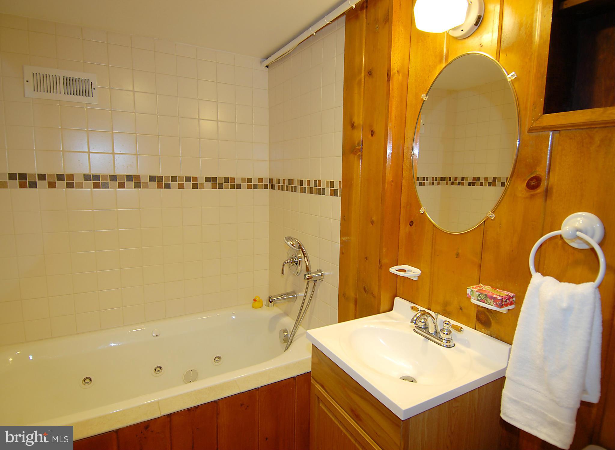 6548 Little Falls Road Arlington, VA 22213 - Photo 23 of 27 Bath