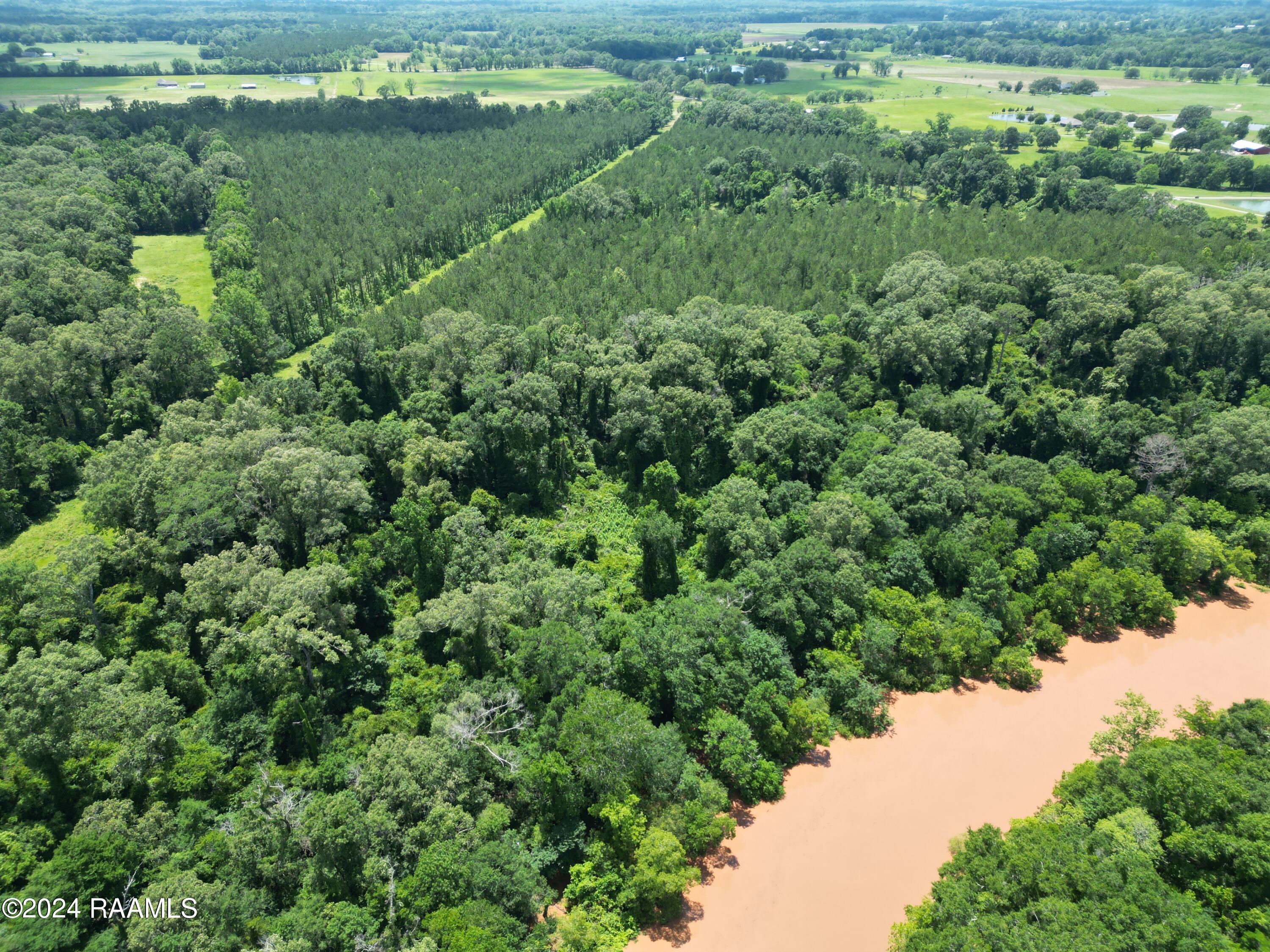 0 Herbert Ortego Road Washington, LA 70589 - Photo 11 of 18