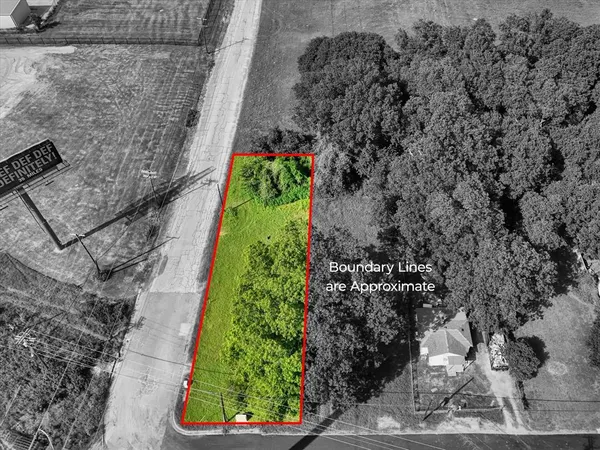 a view of a garden with plants