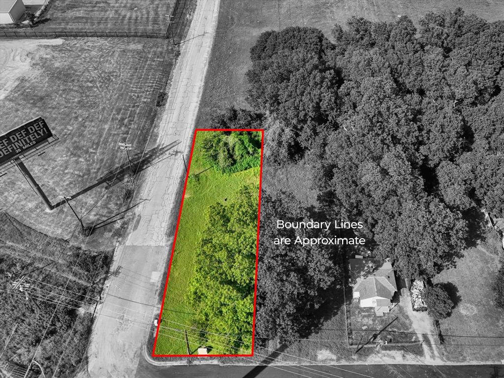 a view of a garden with plants