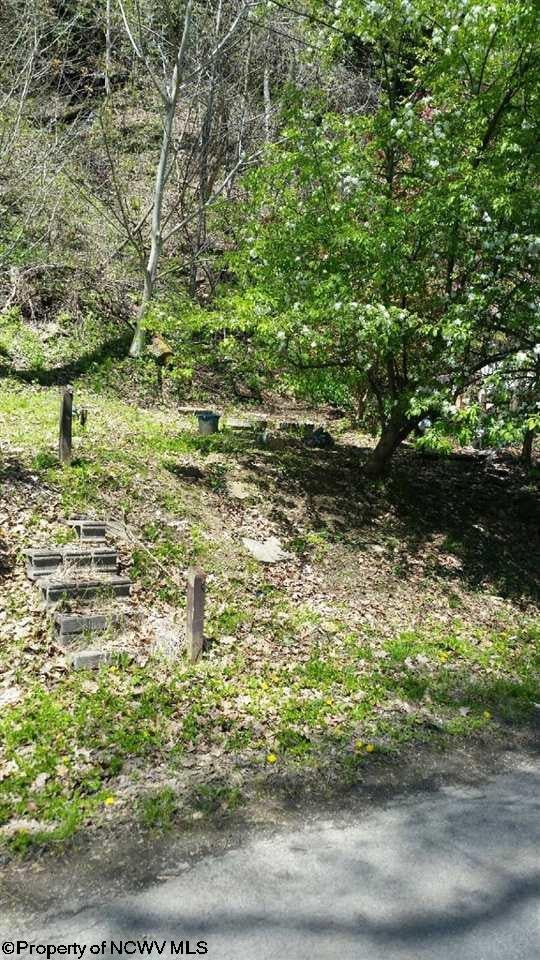30-ac White Island Road Fairmont, WV 26554 - Photo 5 of 8 Gallery Image 5