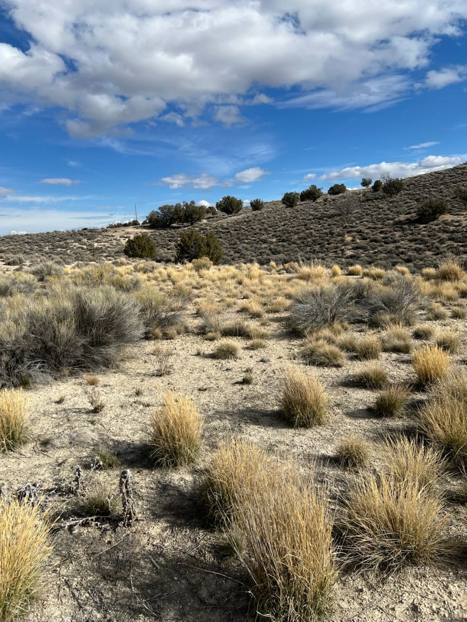 N/a Grant Avenue Spring Creek, NV 89815 - Photo 3 of 10