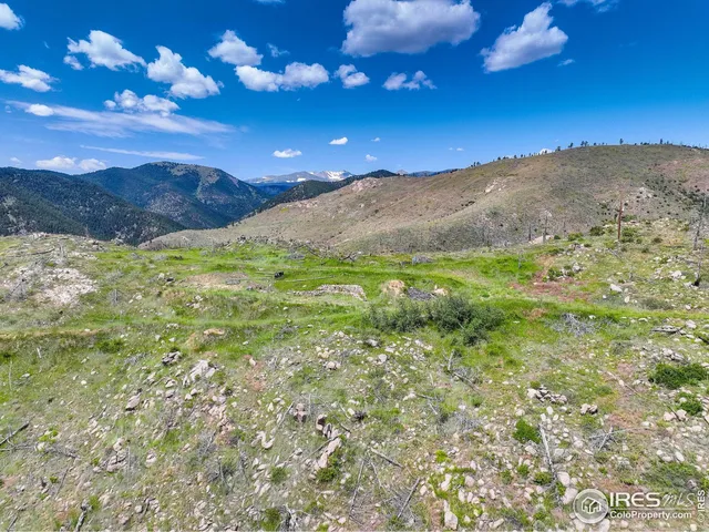 a view of a yard with an ocean