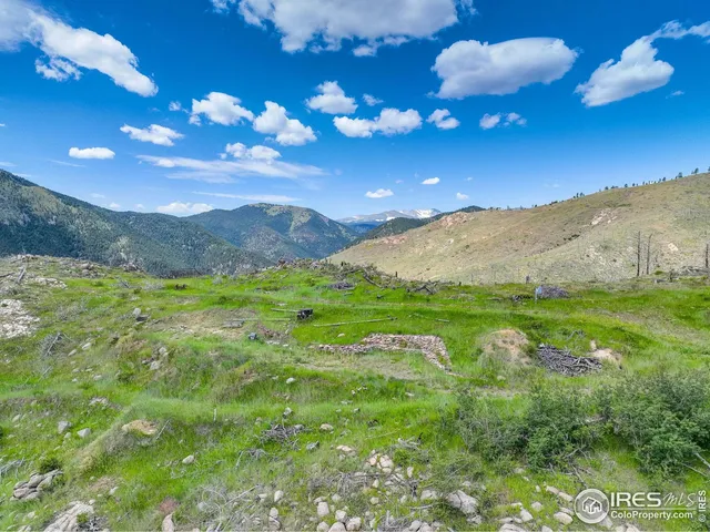 a view of an outdoor space and a yard