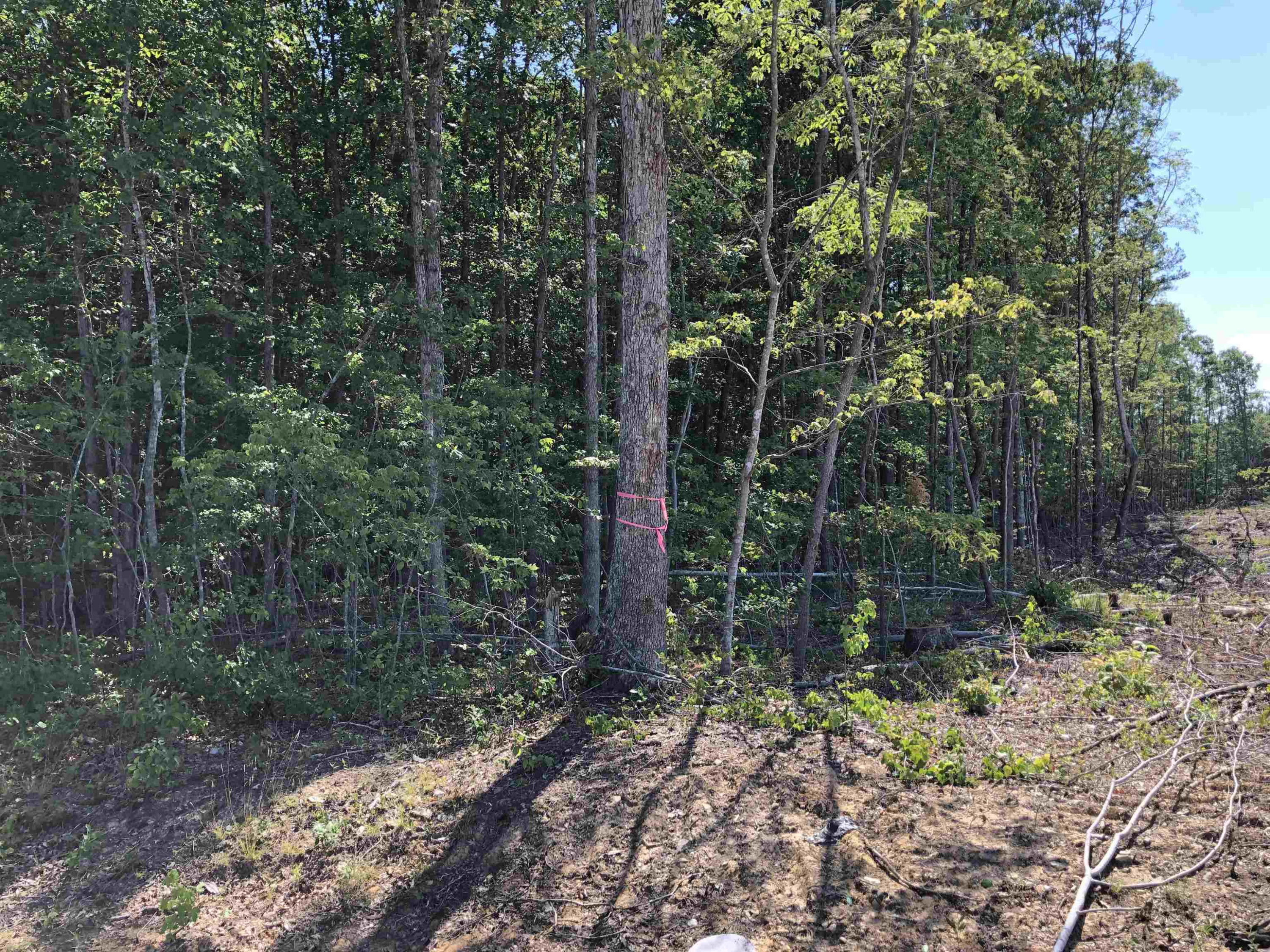 281 Allen Creek Road Rougemont, NC 27572 - Photo 6 of 13 Photo 7