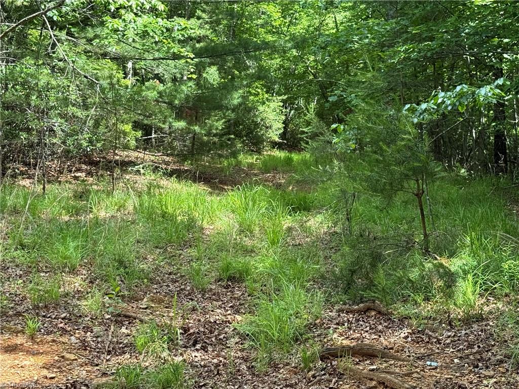 0 Old Lowgap Road Lowgap, NC 27024 - Photo 5 of 13