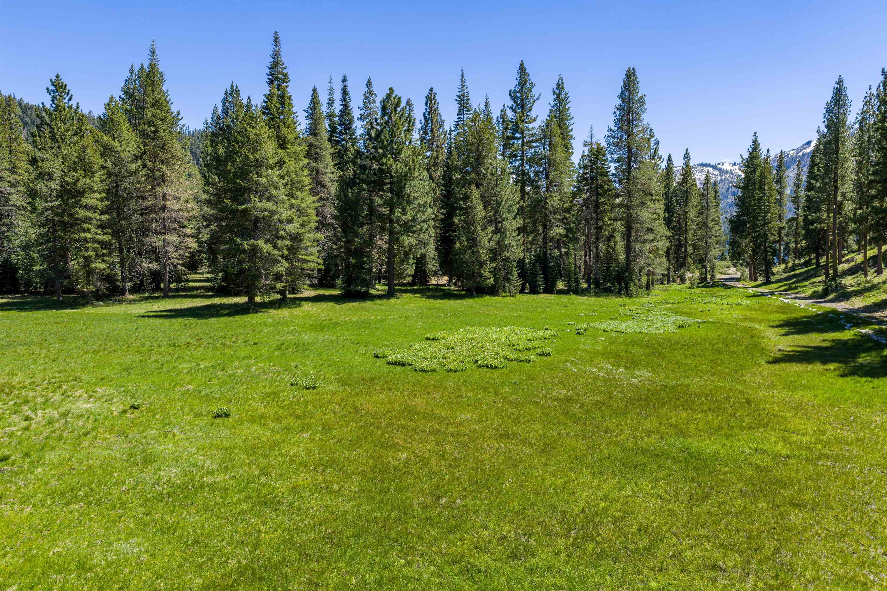 Henness Pass Road Sierra City, CA 96125 - Photo 9 of 28