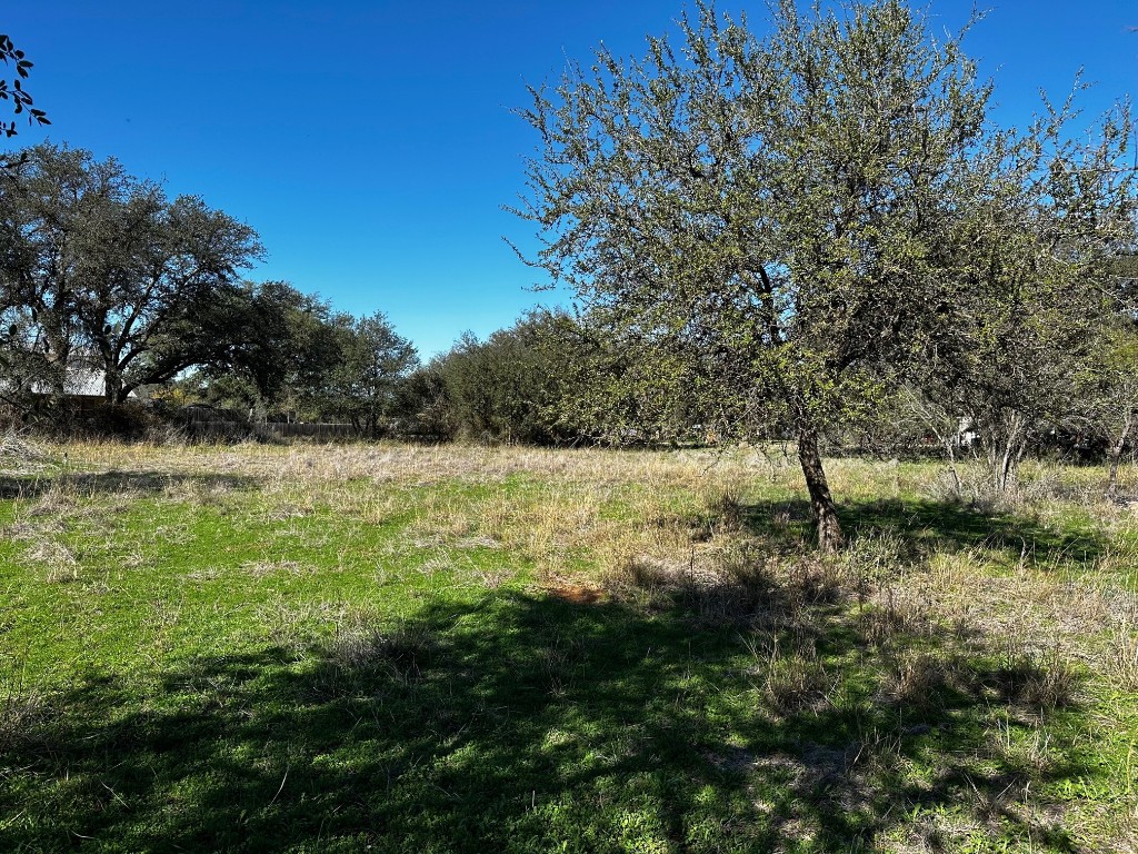 Tbd Danz Well Road Johnson City, TX 78636 - Photo 1 of 1 Gallery Image 1