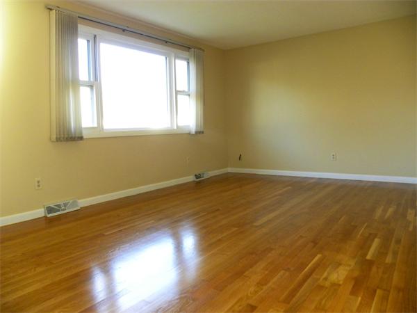 16 Calley Street Springfield, MA 01129 - Photo 7 of 21