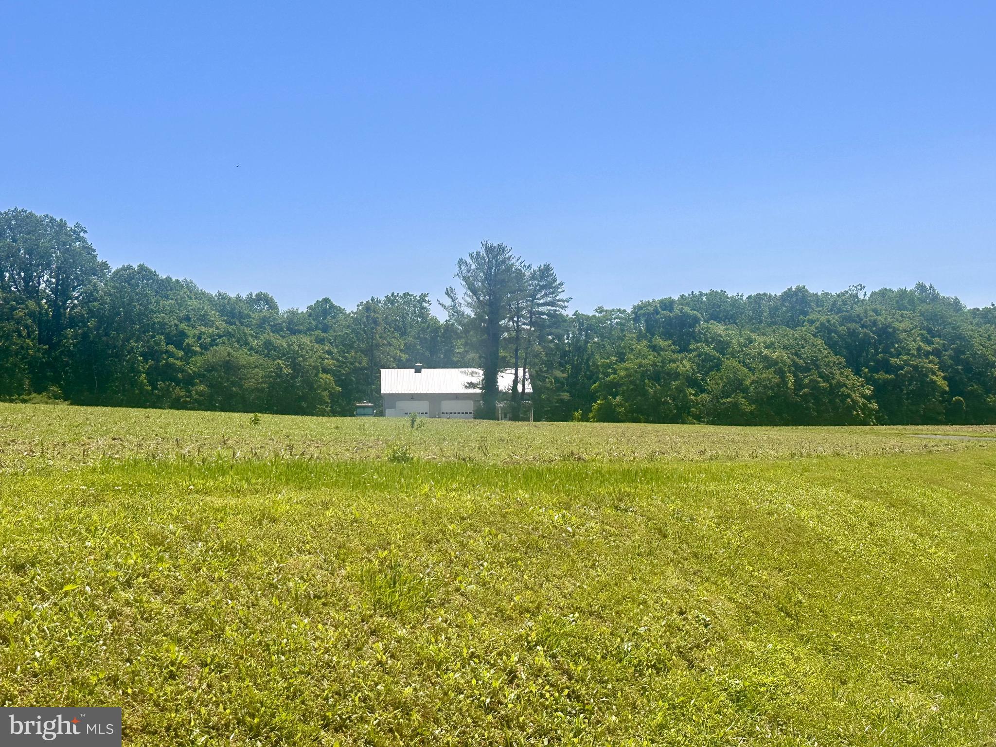 2980 Ross Road St. Leonard, MD 20685 - Photo 1 of 3 a view of a large yard with an outdoor space and seating area