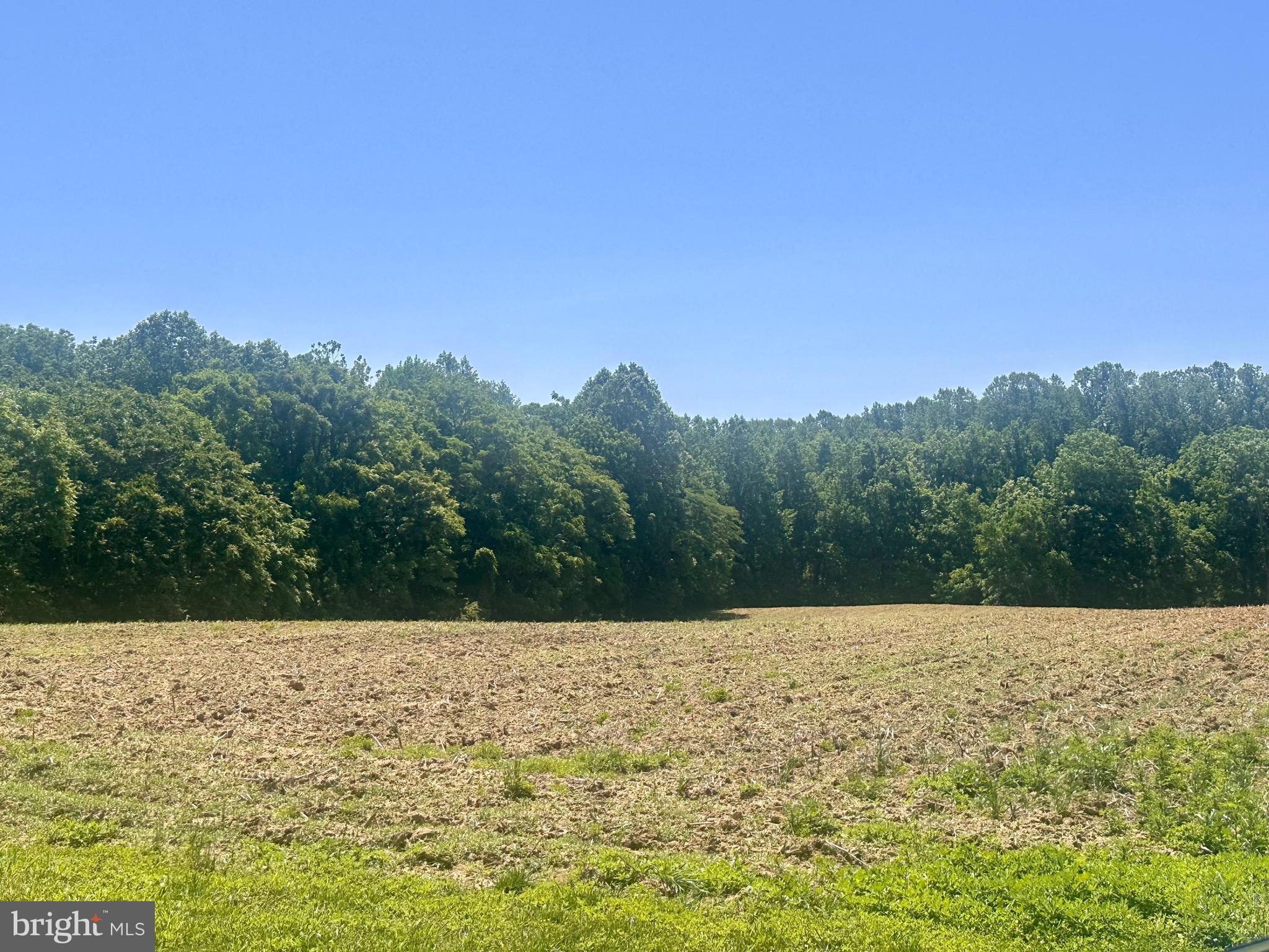 2980 Ross Road St. Leonard, MD 20685 - Photo 2 of 3