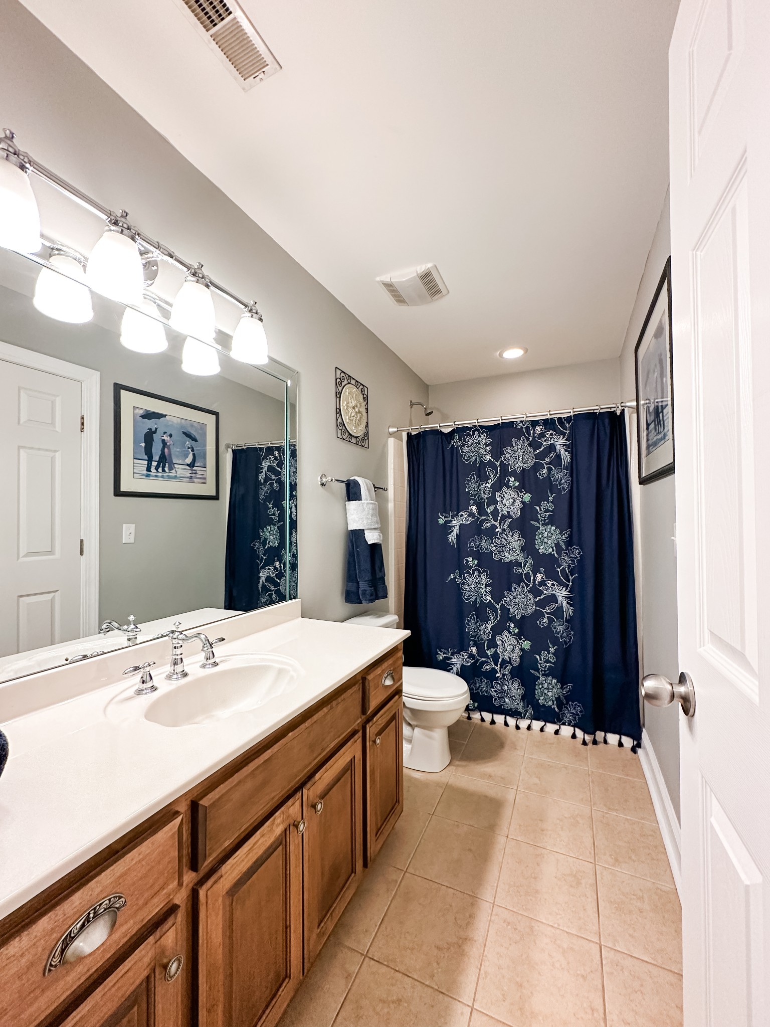 252 County House Hollow Road Cottontown, TN 37048 - Photo 15 of 50 a spacious bathroom with a sink a toilet and shower