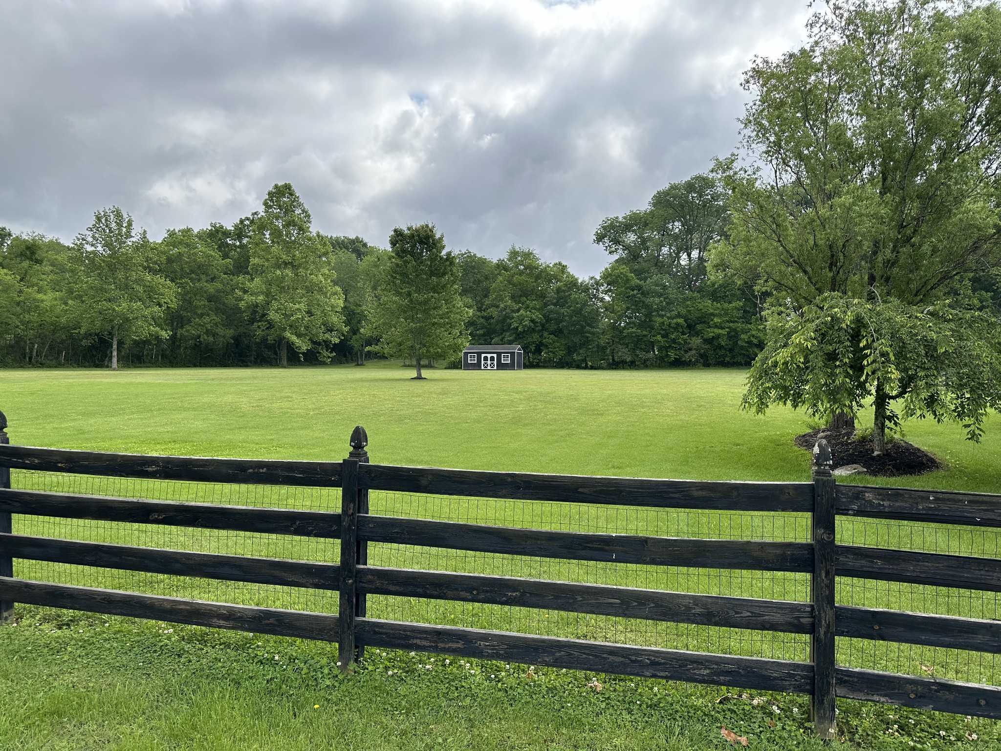 252 County House Hollow Road Cottontown, TN 37048 - Photo 4 of 50 a view of a park with large trees