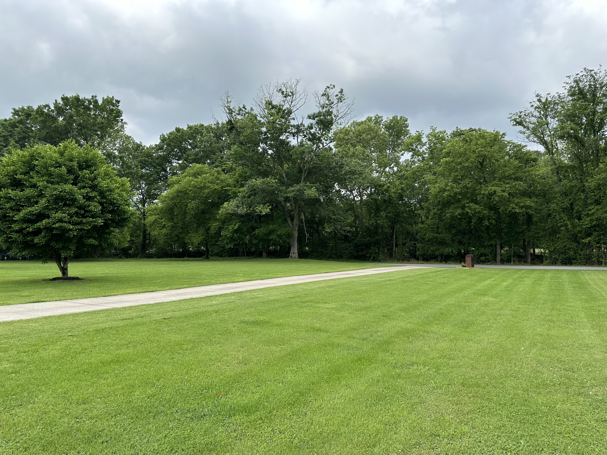 252 County House Hollow Road Cottontown, TN 37048 - Photo 5 of 50 a view of a green yard