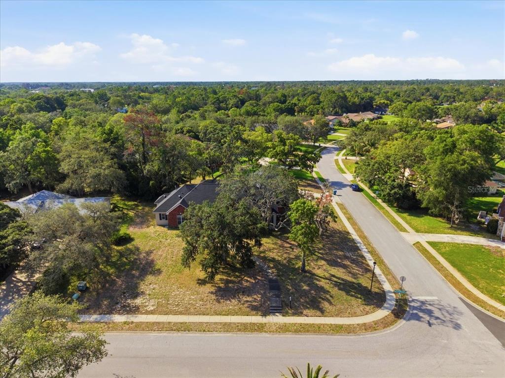 4558 Lake In The Woods Drive Spring Hill, FL 34607 - Photo 3 of 55