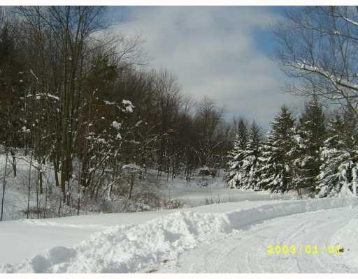 1601 State Road New Castle, PA 16101 - Photo 18 of 18 Land/Lot. Picturesque, quiet, serene. Snow covered pond in center. Pretty enough to be a greeting card.