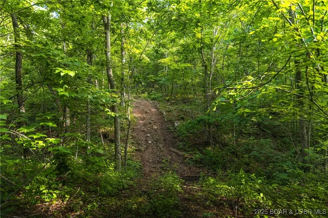 $144,330 | 4 State Road, Edwards, MO 65326