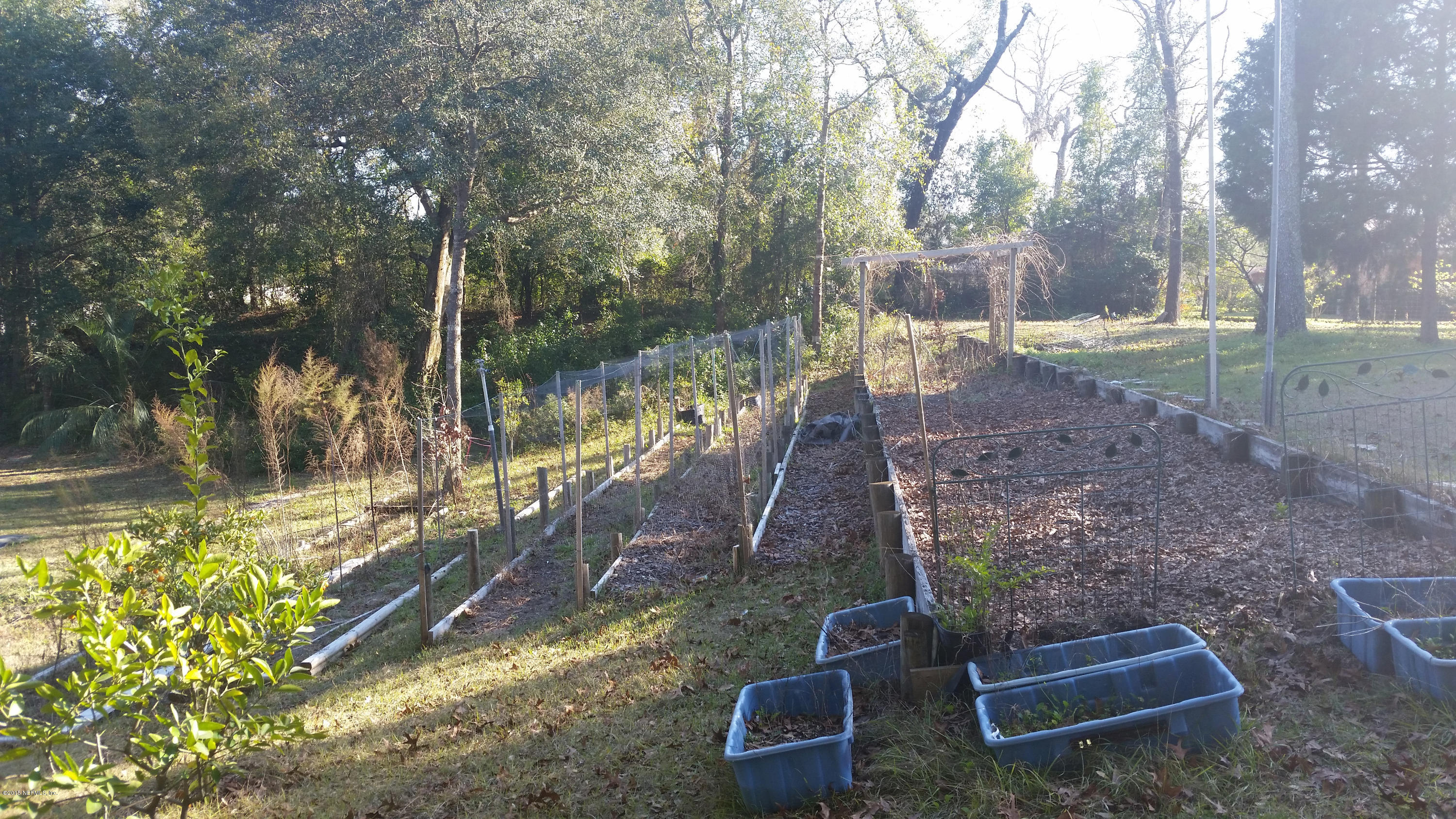12543 Knotah Road Jacksonville, FL 32258 - Photo 41 of 45 Garden