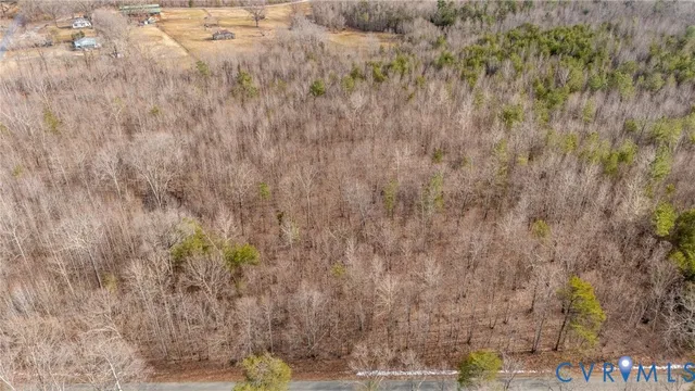 a view of a dry yard