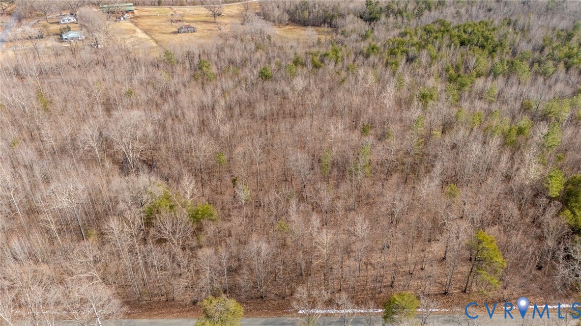 Lot 82 Cosner Road Louisa, VA 23093 - Photo 4 of 10 a view of a dry yard
