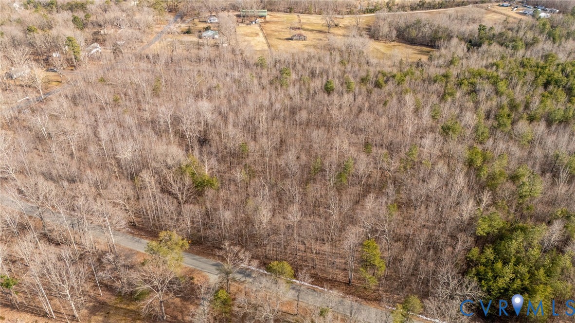 Lot 82 Cosner Road Louisa, VA 23093 - Photo 5 of 10 a view of a dry yard with trees