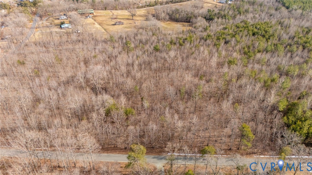 Lot 82 Cosner Road Louisa, VA 23093 - Photo 7 of 10 a view of a yard