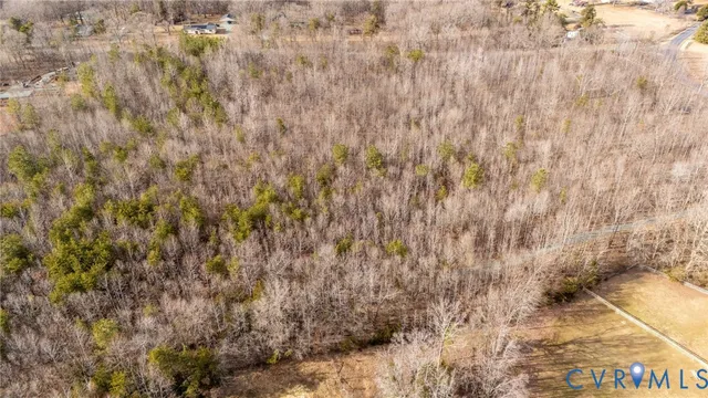 a view of a dry yard