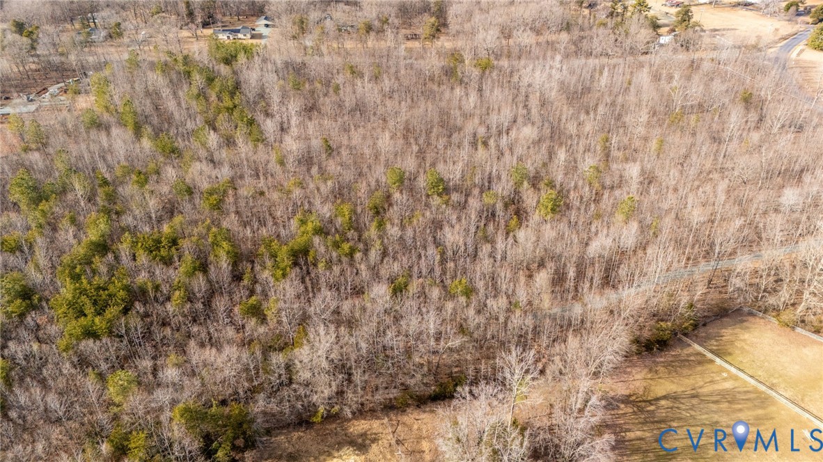 Lot 82 Cosner Road Louisa, VA 23093 - Photo 8 of 10 a view of a dry yard
