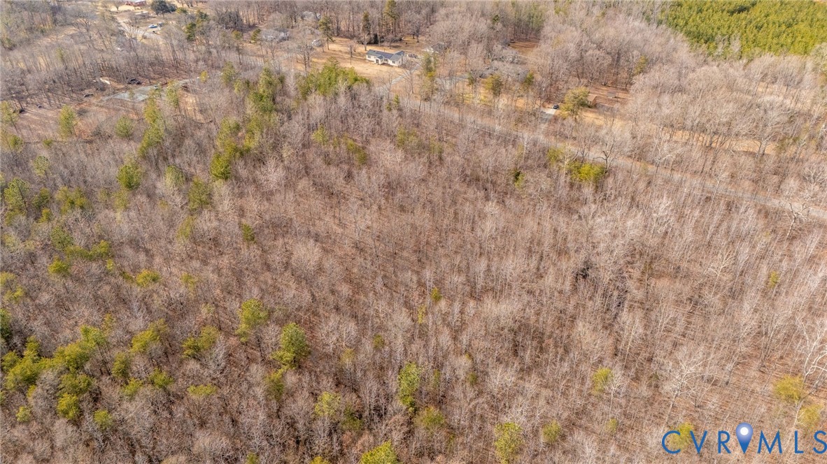 Lot 82 Cosner Road Louisa, VA 23093 - Photo 9 of 10 a close up view of a plant
