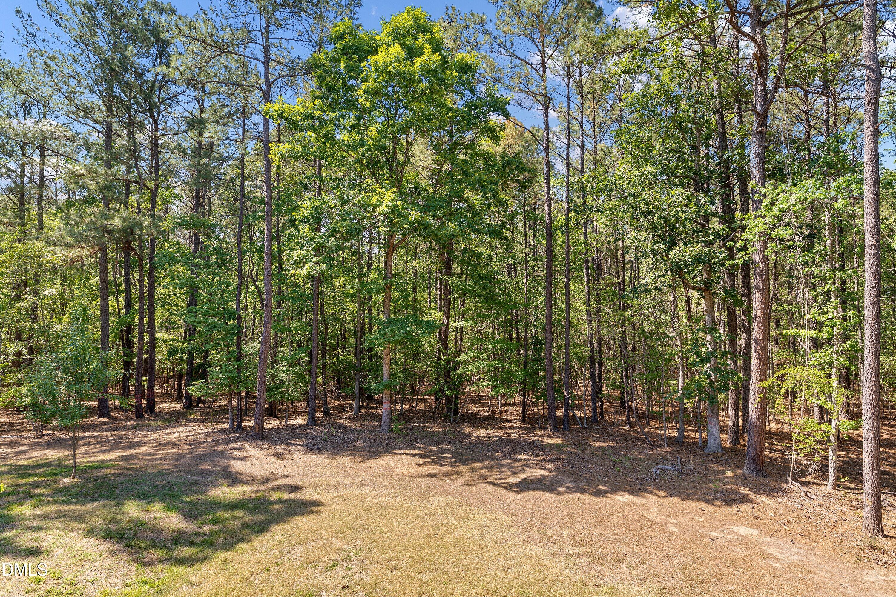 2529 Baptist Road Durham, NC 27703 - Photo 6 of 73 06-2529 Baptist Rd118 Temple_6457