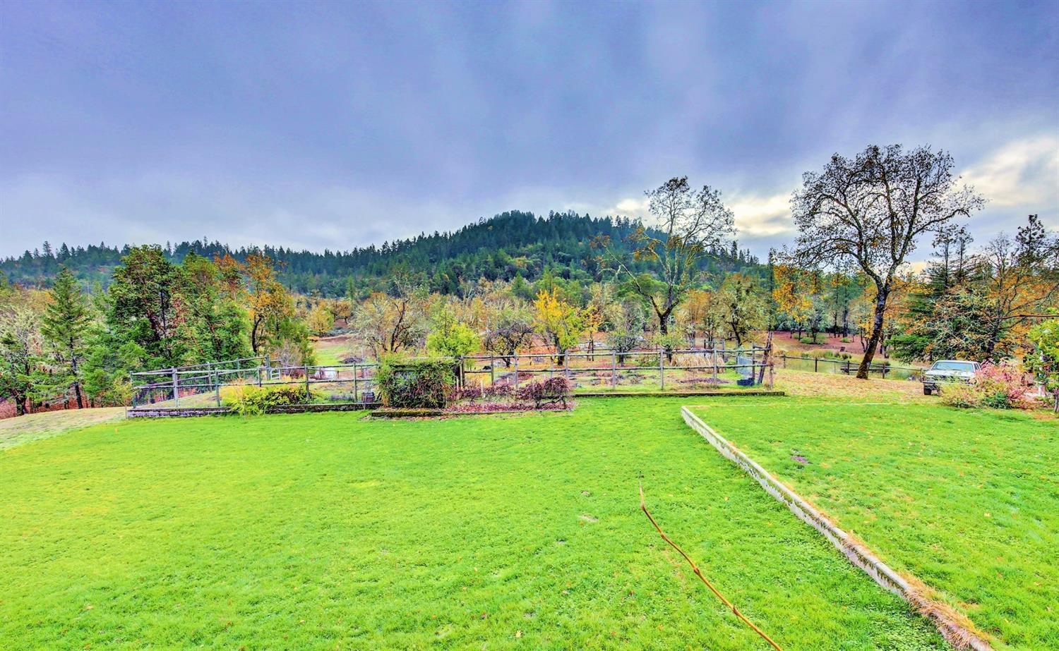 2655 Robertson Bridge Road Grants Pass, OR 97526 - Photo 30 of 31 a view of a park with large trees