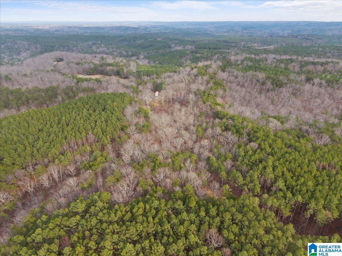 1484 Waid Road Oneonta, AL 35121 - Photo 32 of 33