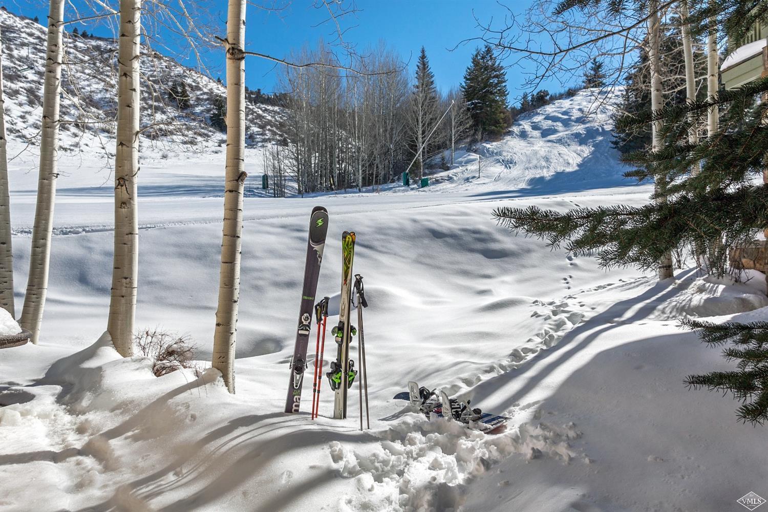 348 Cresta Road Edwards, CO 81632 - Photo 3 of 25 a view of a backyard of a house