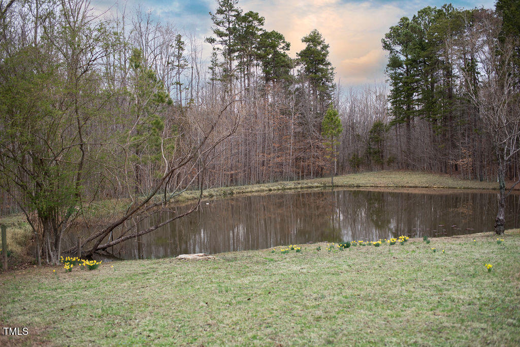 8717 Allison Road Cedar Grove, NC 27231 - Photo 58 of 86 DSC_1928-Edit