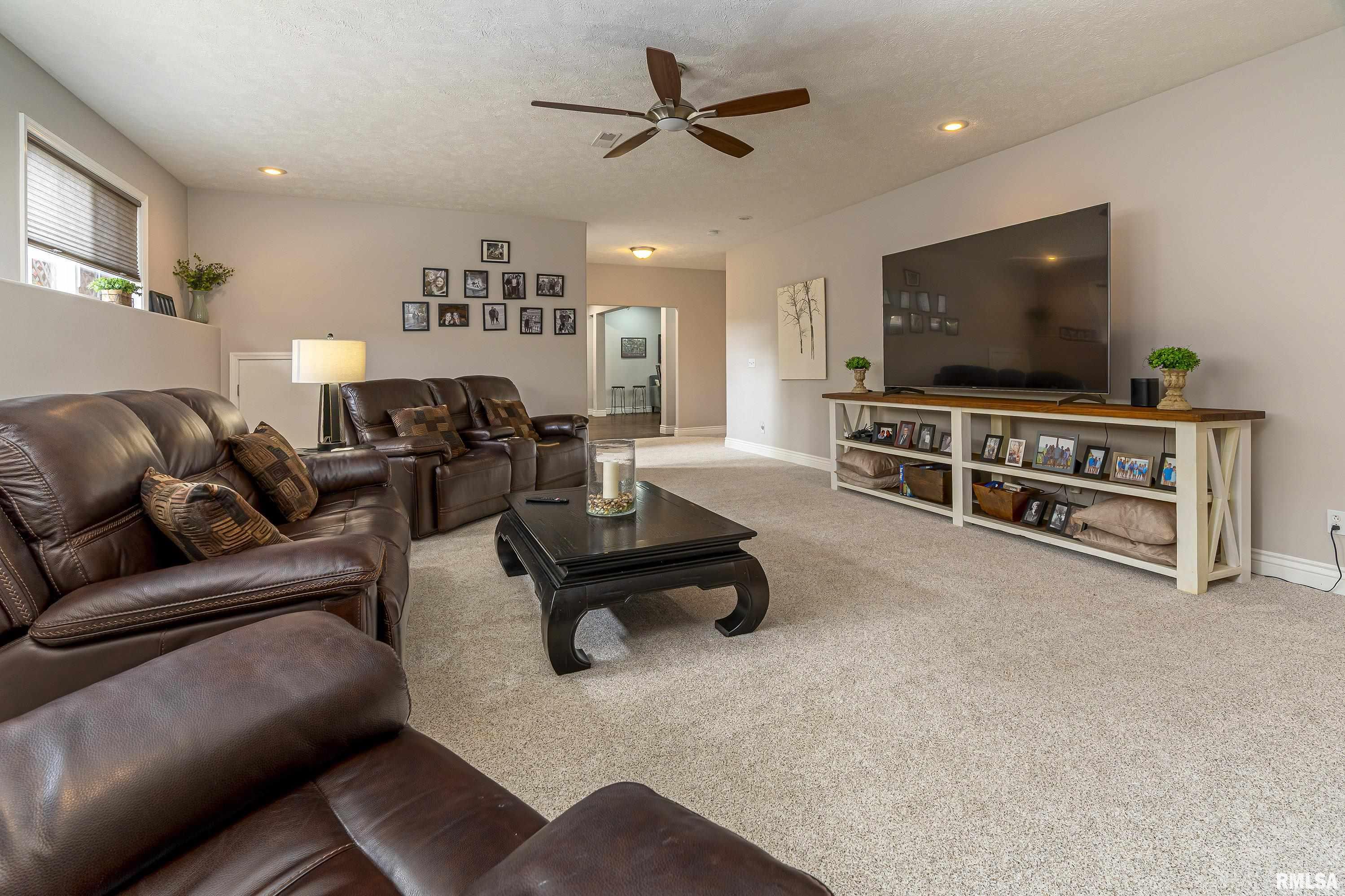 11594 Hafer Road Carterville, IL 62918 - Photo 26 of 35