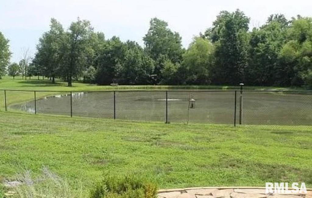 11594 Hafer Road Carterville, IL 62918 - Photo 31 of 35