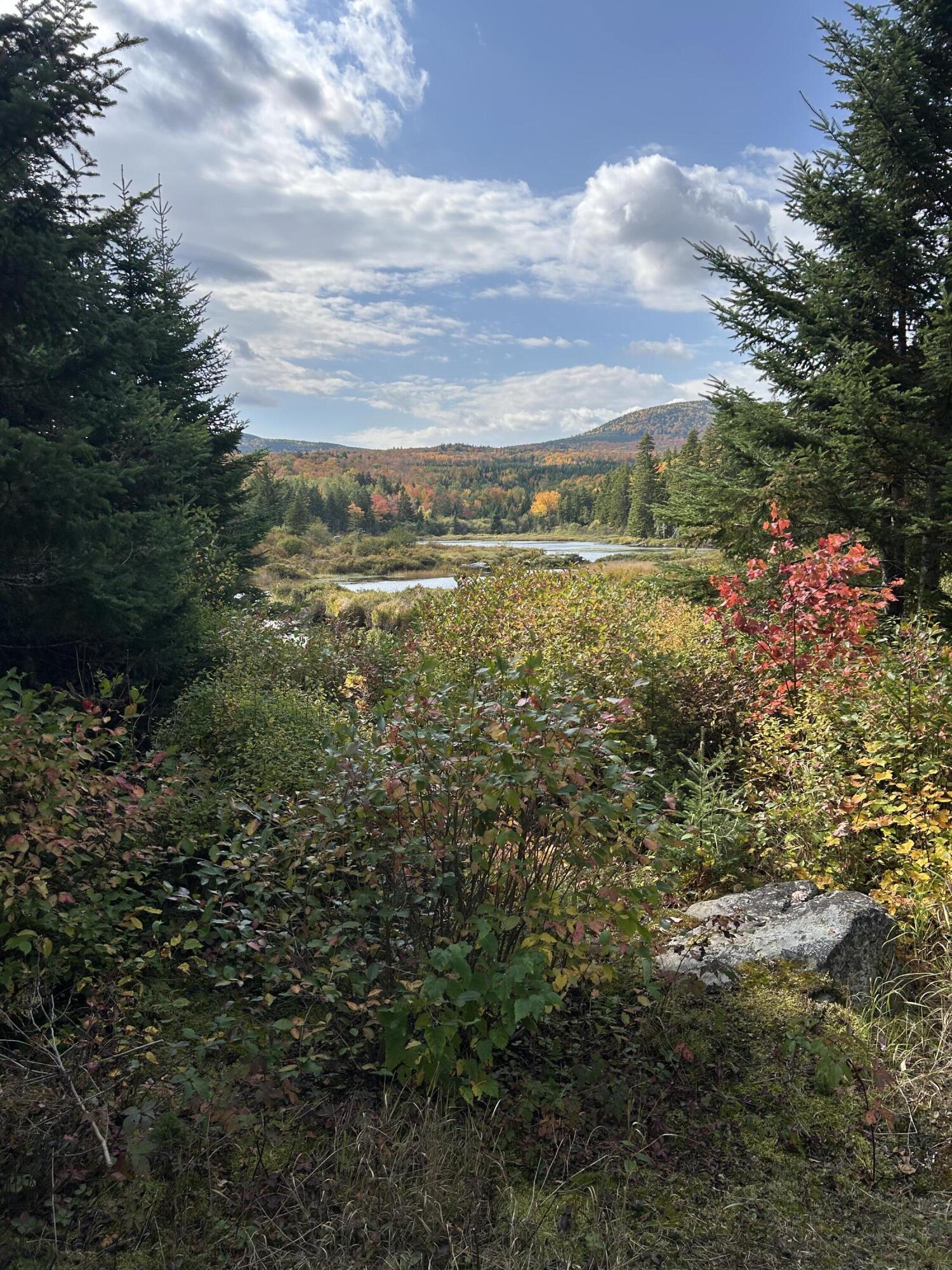 5 Markham Pond Road West Forks, ME 04985 - Photo 15 of 15 IMG_3441