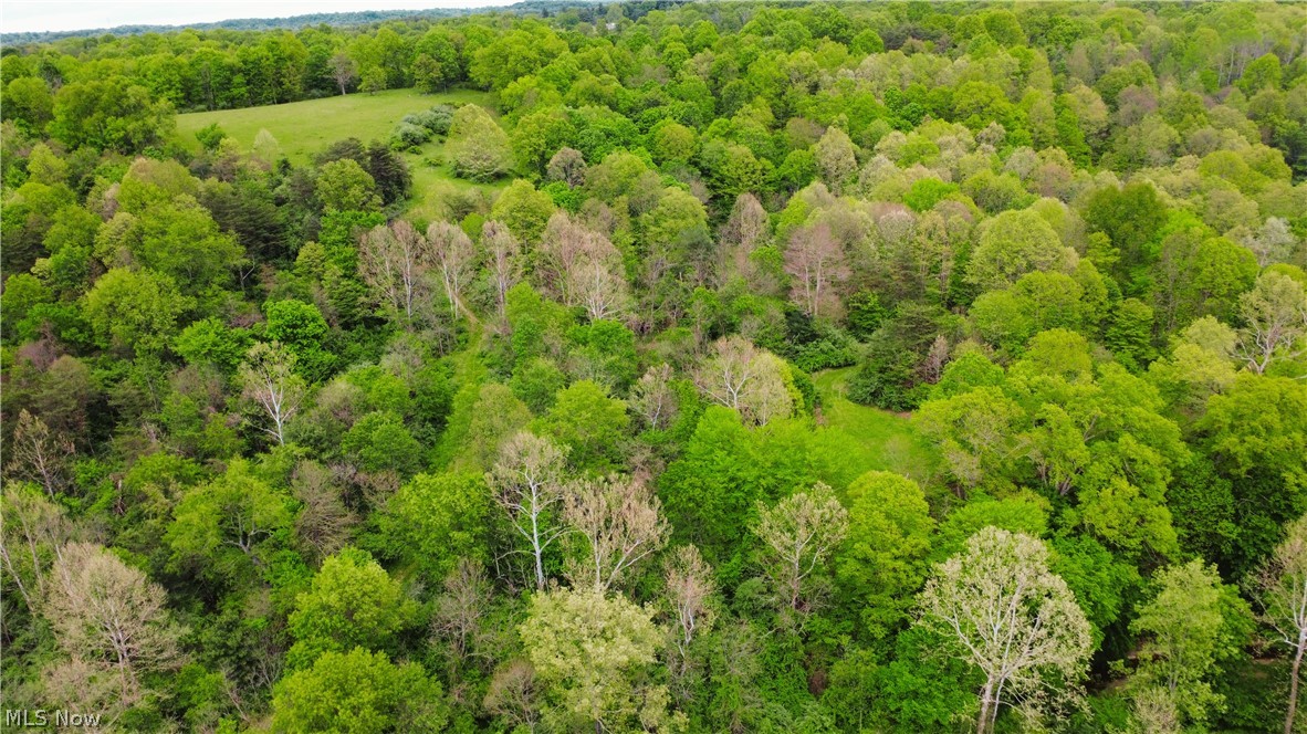Morganville Rd Road Malta, OH 43758 - Photo 11 of 42
