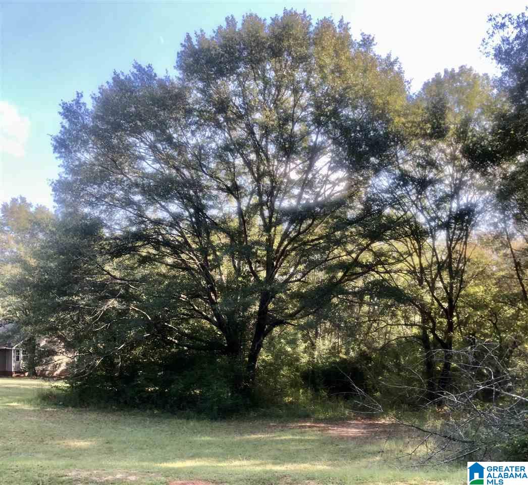 0 Carleton Point Lane, Unit 1 Wilsonville, AL 35186 - Photo 1 of 8