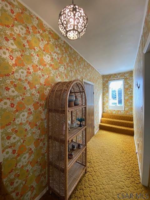 161 Club Road Lilly, PA 15938 - Photo 21 of 60 Gallery Image 21