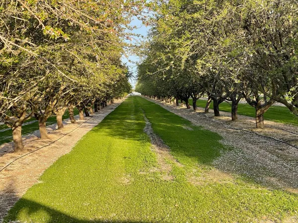 a view of swimming pool with a garden