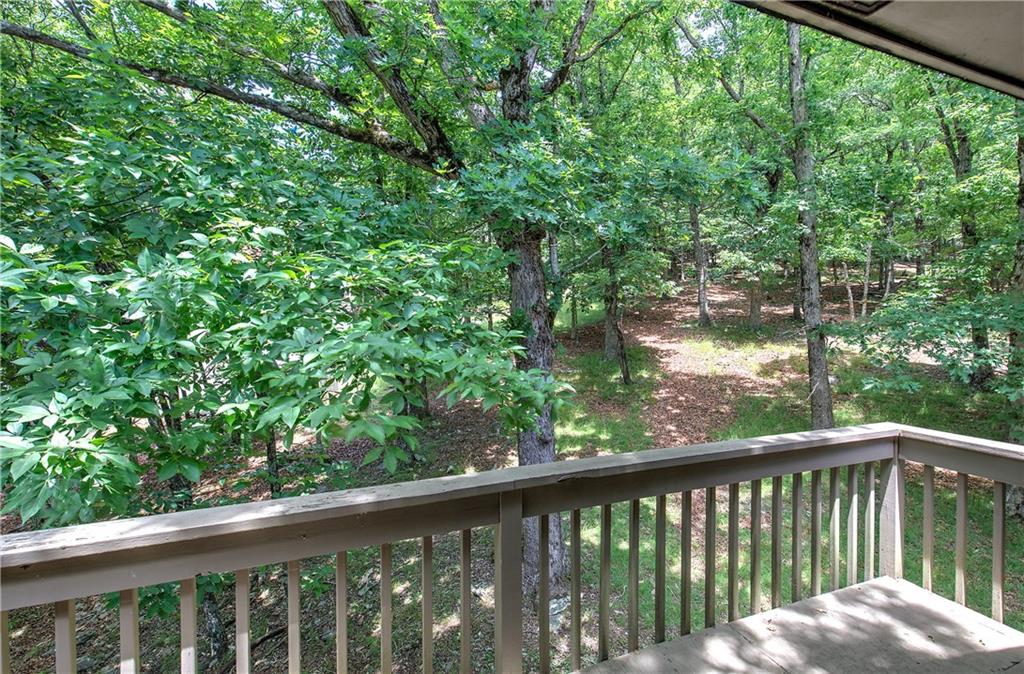 1467 Little Hendricks Mountain Road Jasper, GA 30143 - Photo 28 of 63